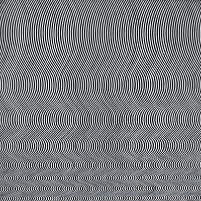 Bridget Riley