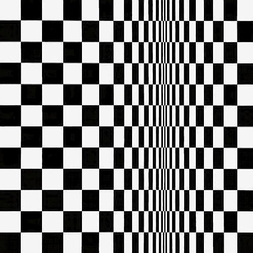 Bridget Riley