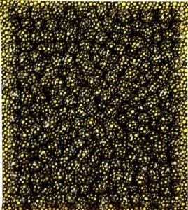 Yayoi kusama Art